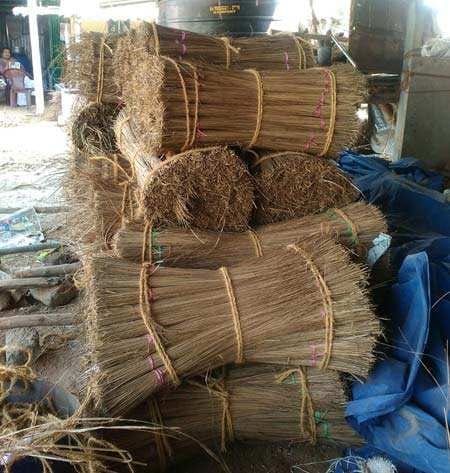 Coconut Broom bundles — Sun Savera Wellness