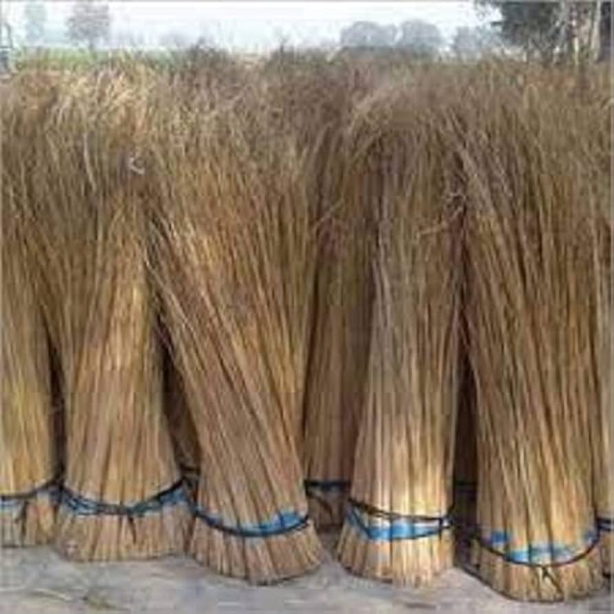 Raw grass bundles standing