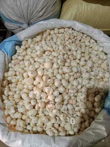 Dried fruit sack in bulk