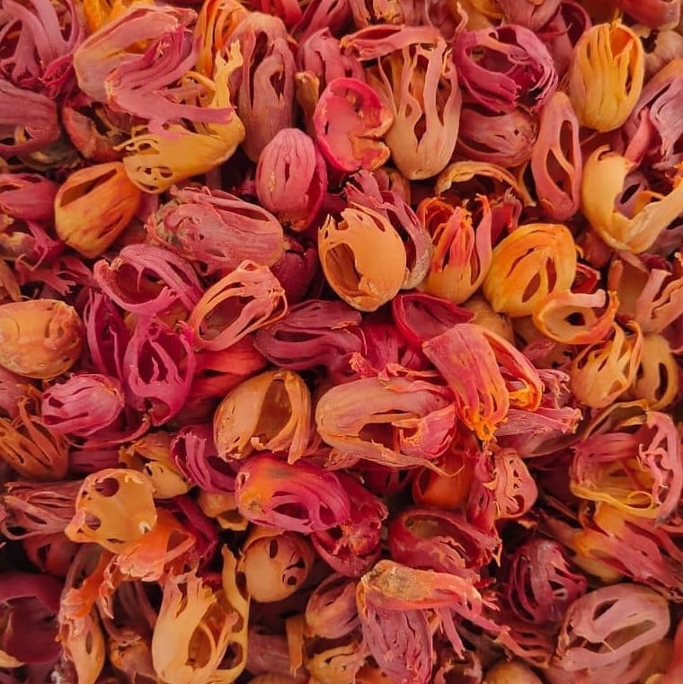Mace spice close-up